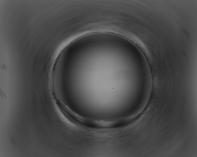 X0000090861528200708030936