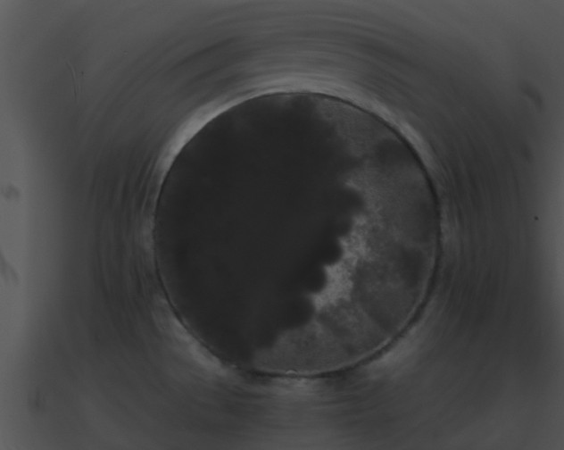 X0000090861529200708030936