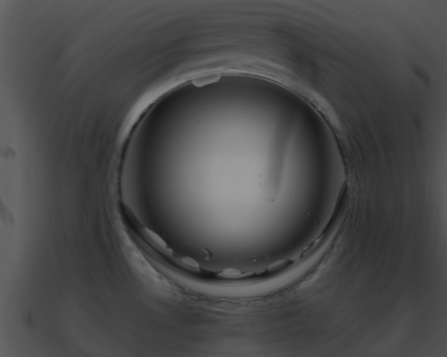 X0000090861530200708030937