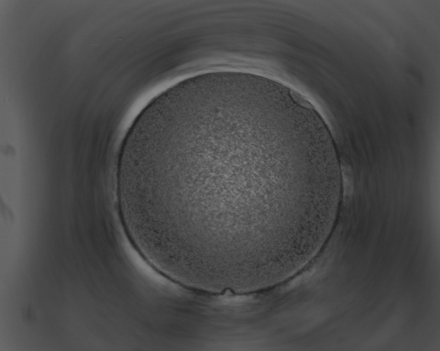 X0000090861531200708030937