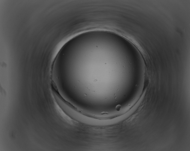 X0000090861532200708030937
