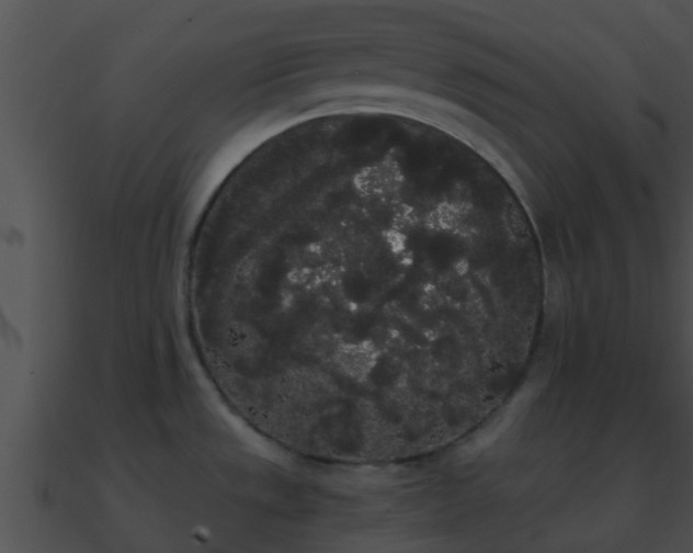 X0000090861533200708030937