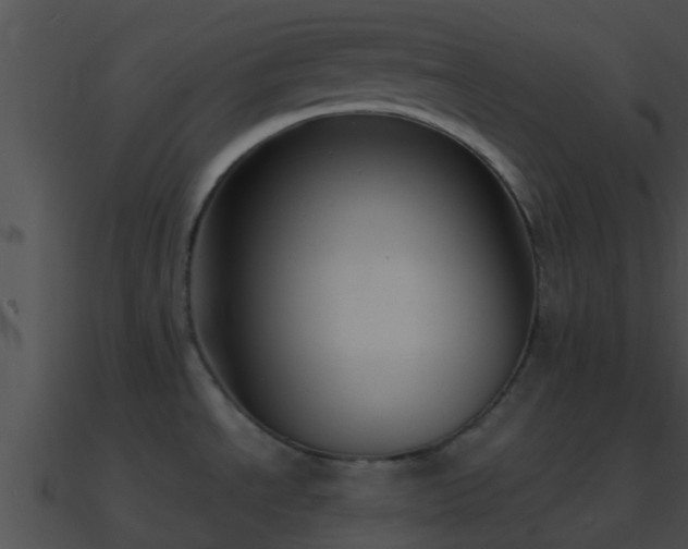 X0000090861534200708030937