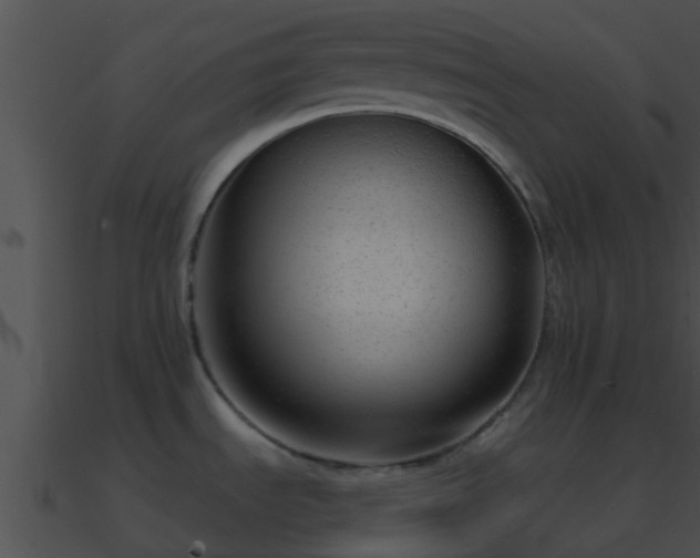 X0000090861535200708030937