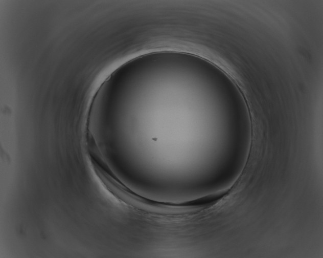 X0000090861536200708030937