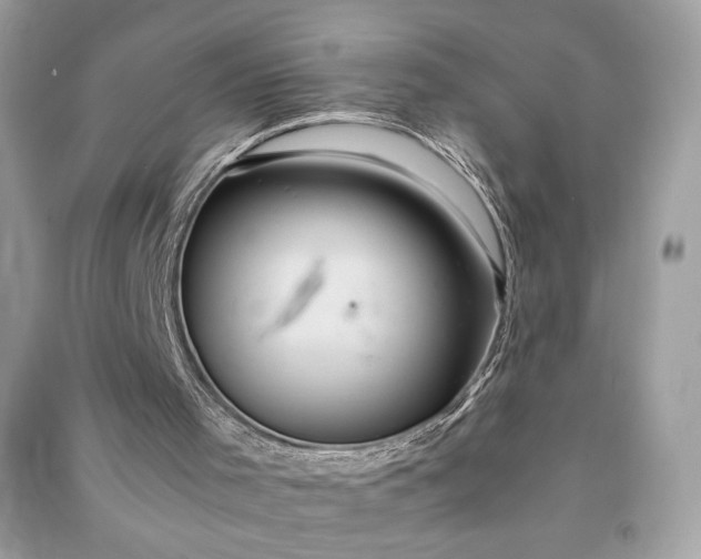 X0000090860001200708101229