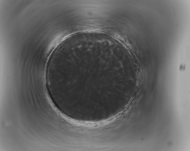 X0000090860002200708101229