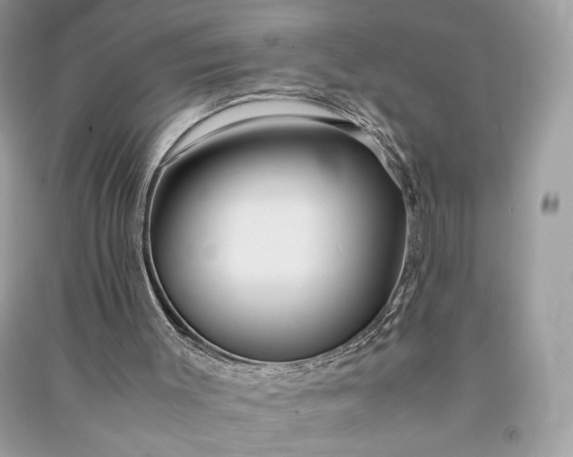 X0000090860003200708101229