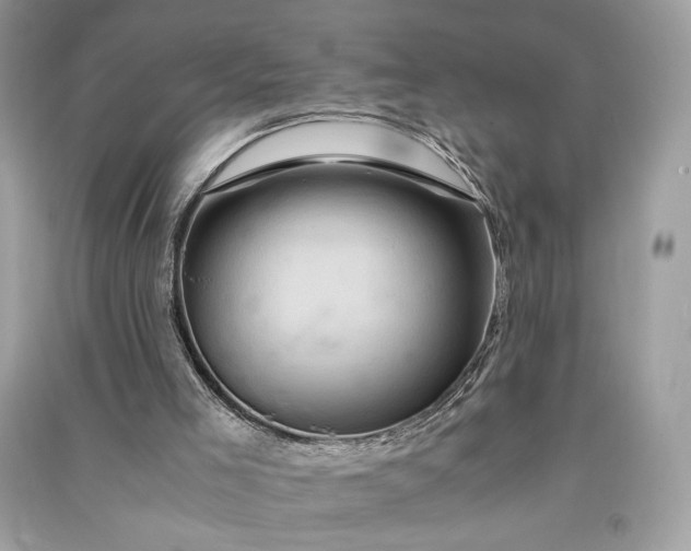 X0000090860005200708101229