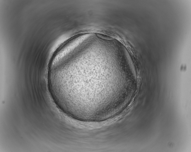 X0000090860006200708101229