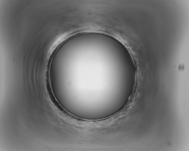 X0000090860007200708101229