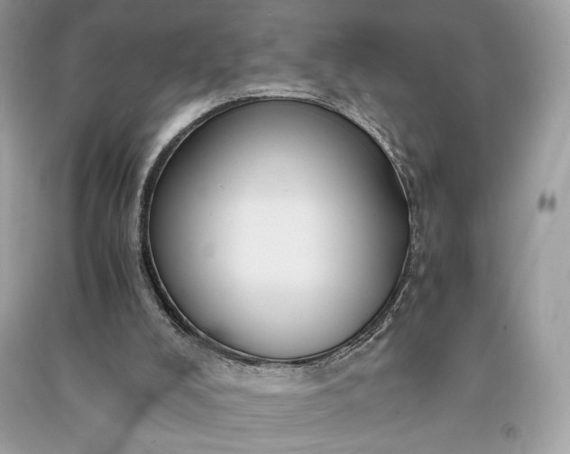 X0000090860008200708101229