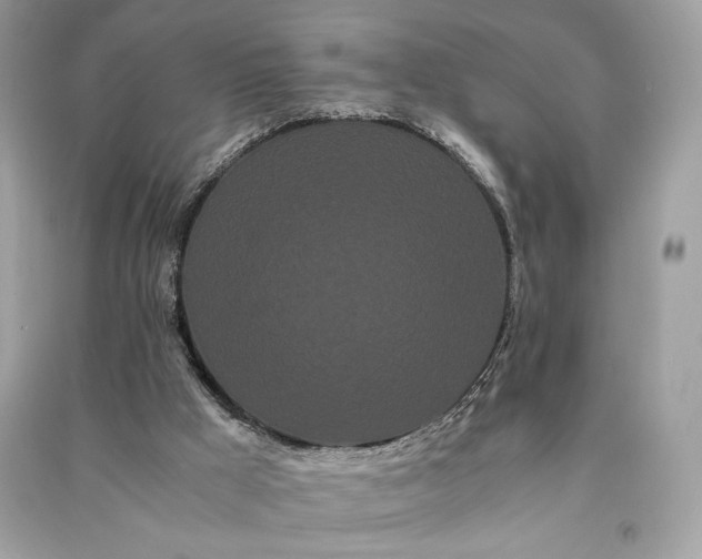 X0000090860009200708101229