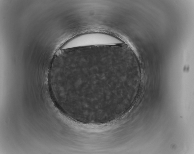 X0000090860010200708101229