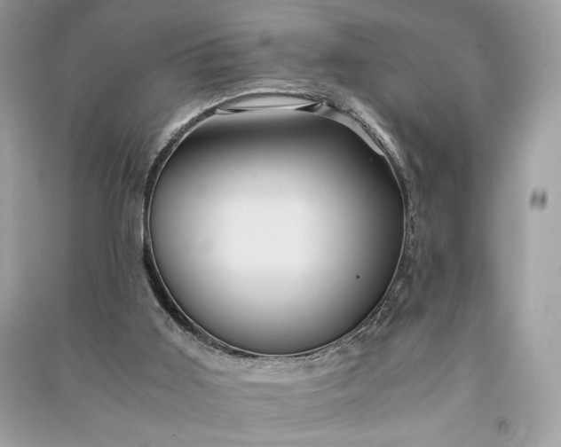 X0000090860011200708101229