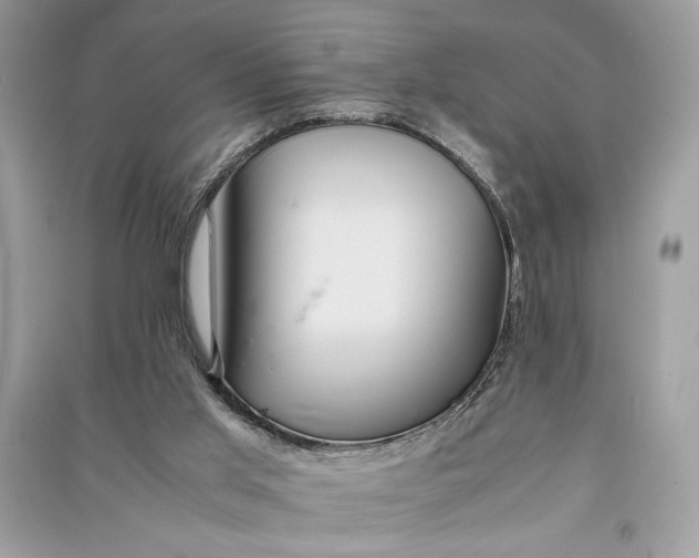 X0000090860013200708101229