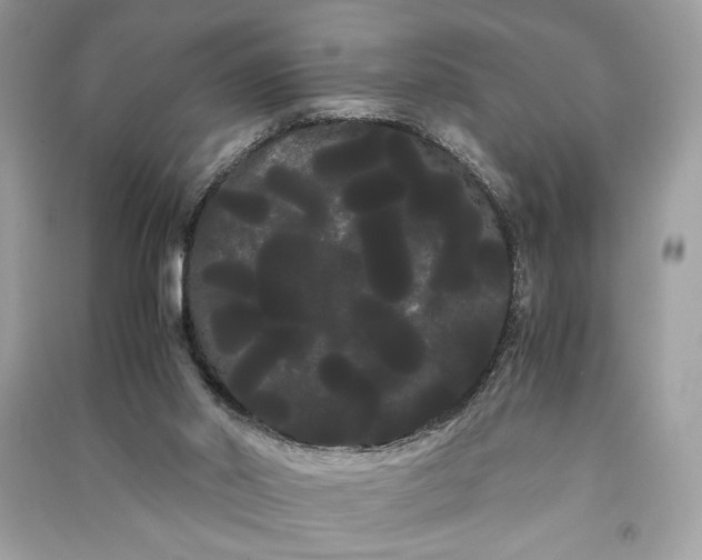 X0000090860014200708101229