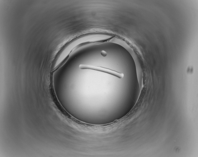 X0000090860015200708101229