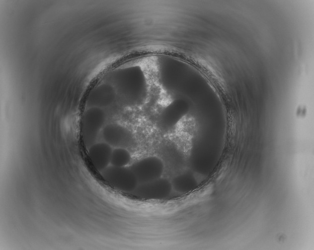 X0000090860016200708101229