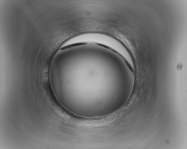 X0000090860017200708101229