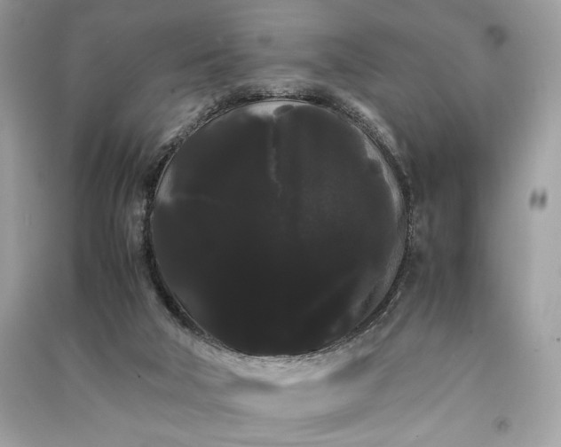 X0000090860018200708101229