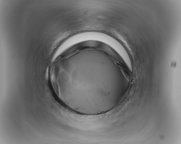 X0000090860019200708101229