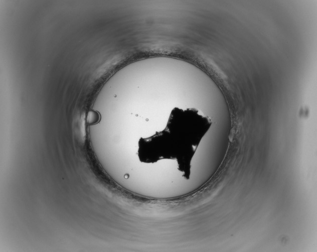 X0000090860020200708101229