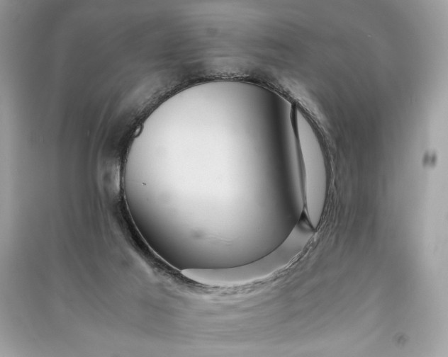 X0000090860021200708101229