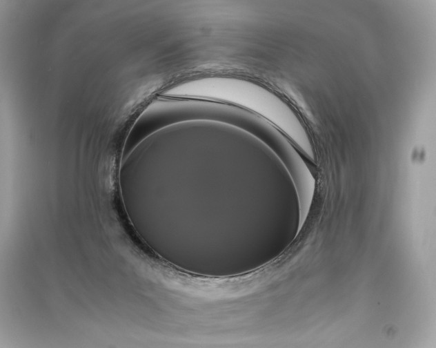 X0000090860023200708101229