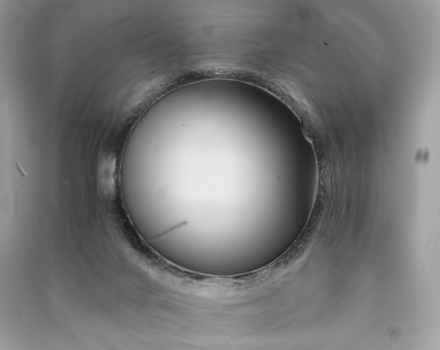 X0000090860024200708101229