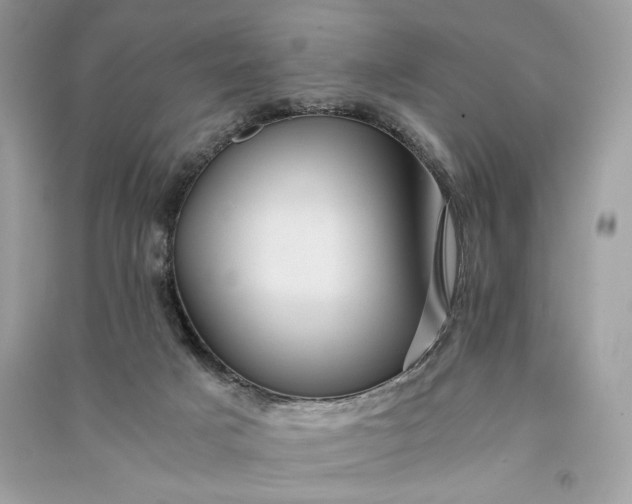 X0000090860025200708101229