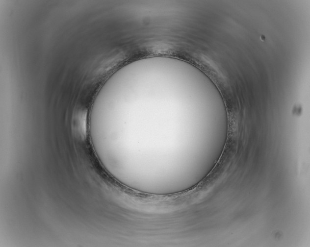 X0000090860028200708101229