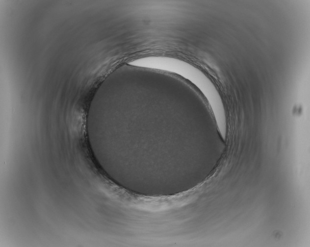 X0000090860029200708101229