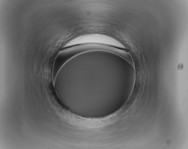 X0000090860031200708101229