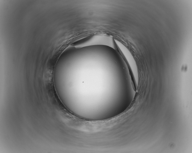 X0000090860033200708101229