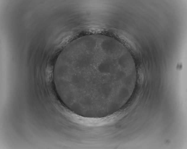 X0000090860034200708101229