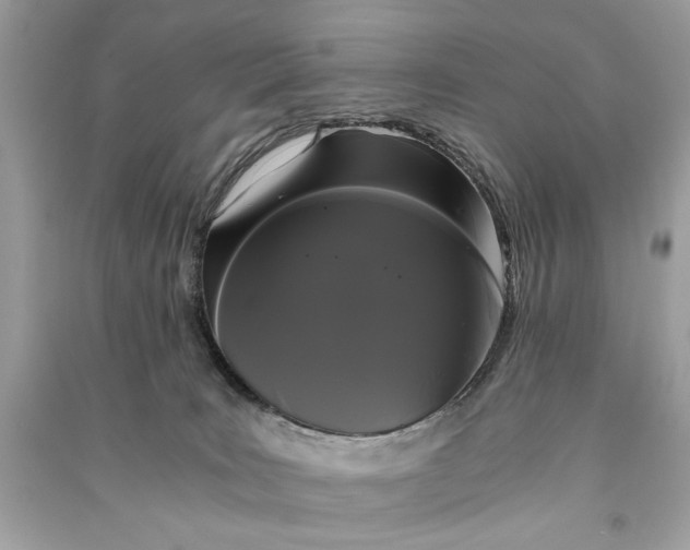 X0000090860035200708101229