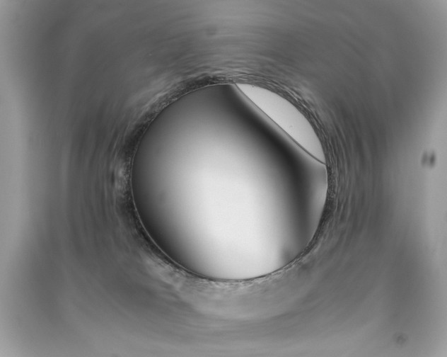 X0000090860037200708101229