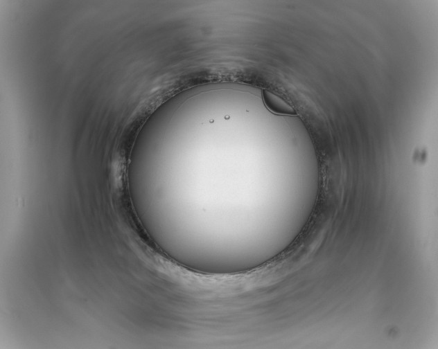 X0000090860038200708101229