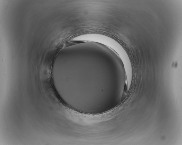 X0000090860039200708101229