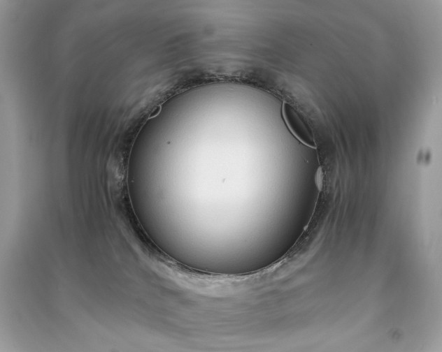 X0000090860040200708101229