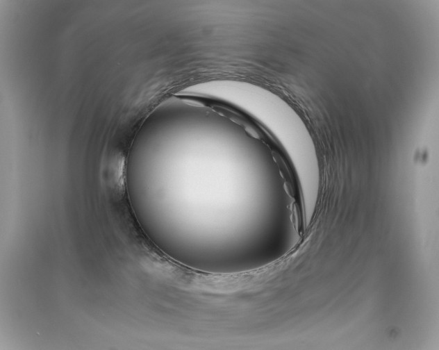 X0000090860041200708101229