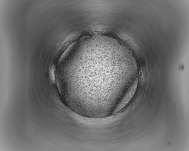 X0000090860042200708101229