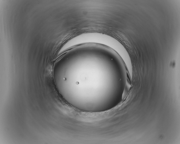 X0000090860045200708101228