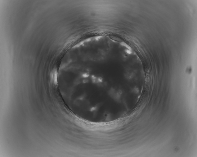 X0000090860046200708101228