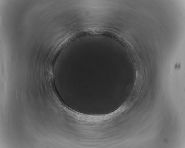 X0000090860048200708101228