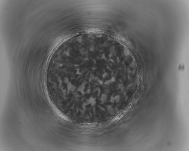 X0000090860049200708101228