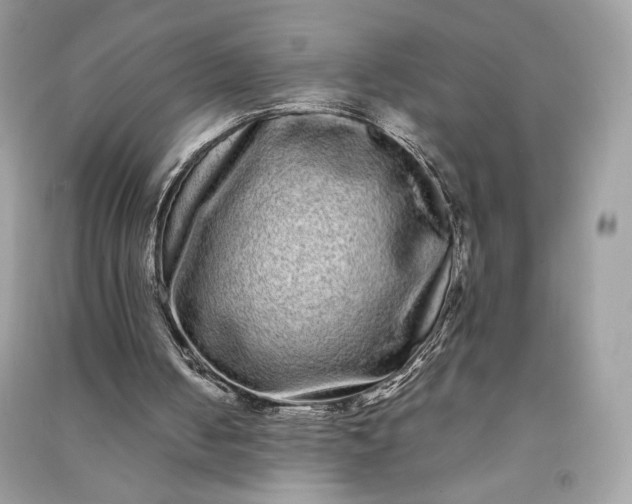 X0000090860050200708101228