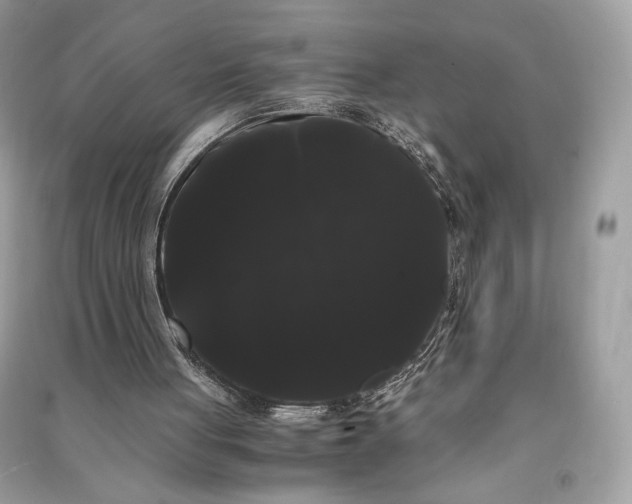 X0000090860051200708101228