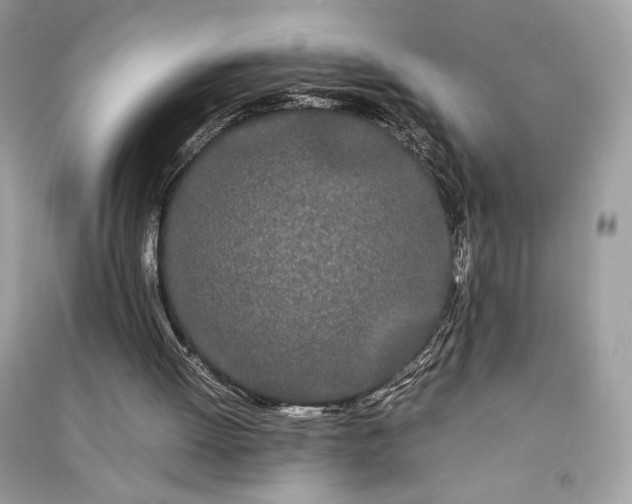 X0000090860052200708101228